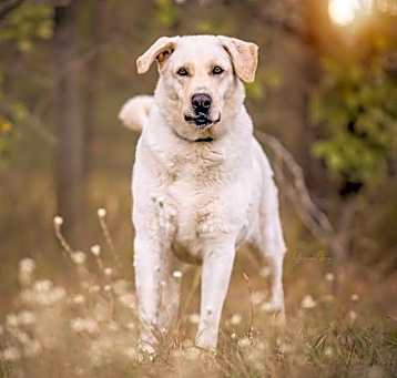 Photo of Ruffy