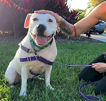 Photo of Lola