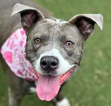 Photo of GRACIE