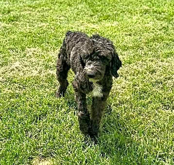 Photo of Chase Feb 25