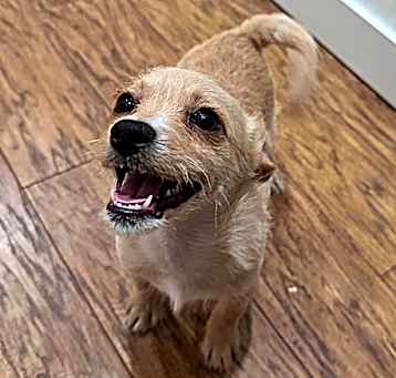 Photo of Maverick