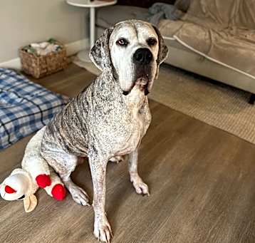 Photo of Lulu