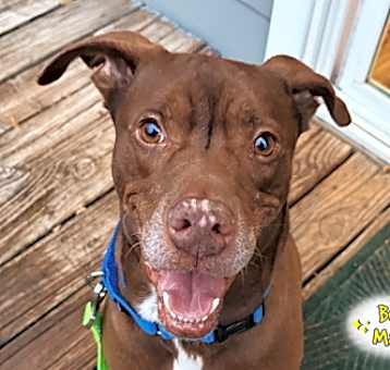 Photo of Sprout
