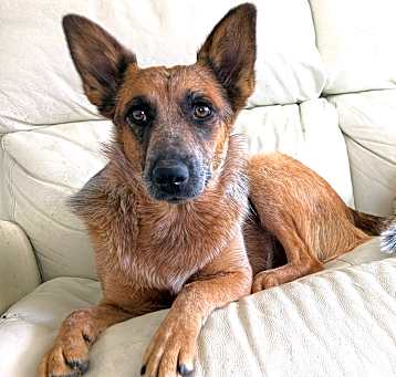 Photo of ELLIE