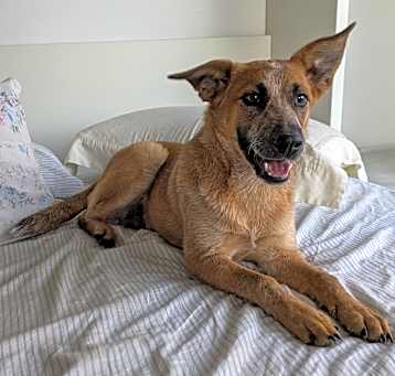 Photo of BERNICE