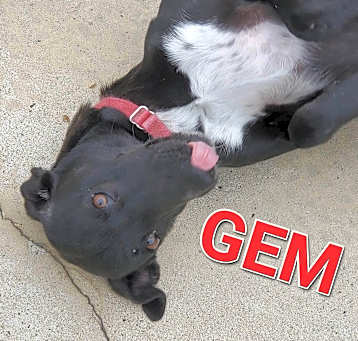 Photo of Gem