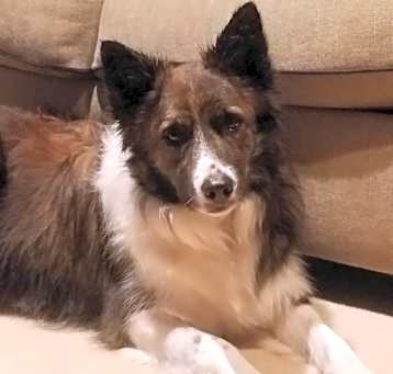 Photo of Sophie