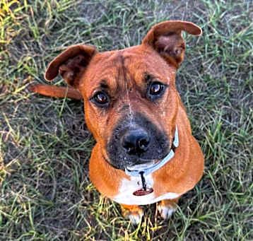 Photo of Penelope