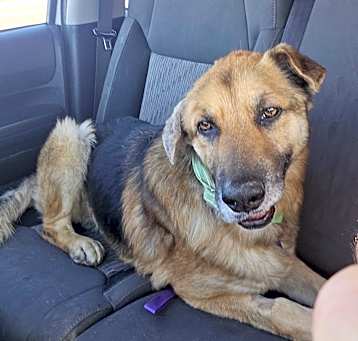 Photo of Murphy