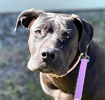 Photo of Athena