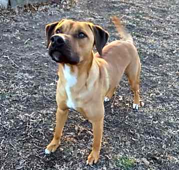 Photo of Luke Duke