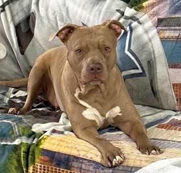 Photo of LOLA LEANNE
