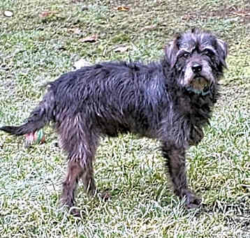 Photo of Huxley