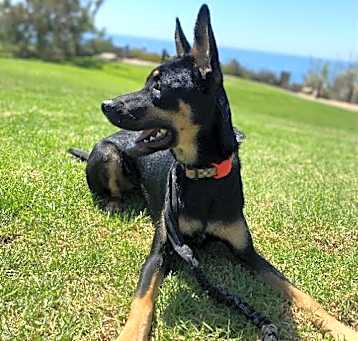 Photo of Maze