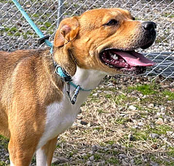Photo of Buttercup