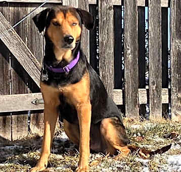 Photo of Waylon