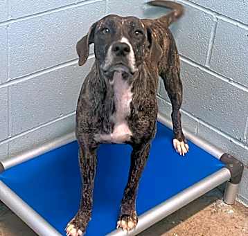 Photo of MAXINE 5783