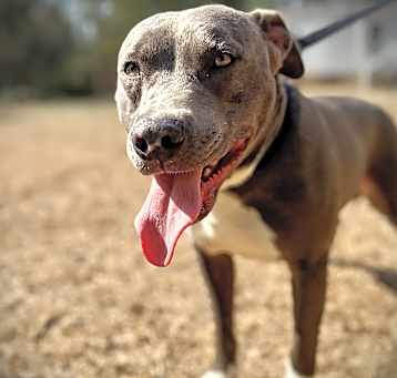 Photo of Thor