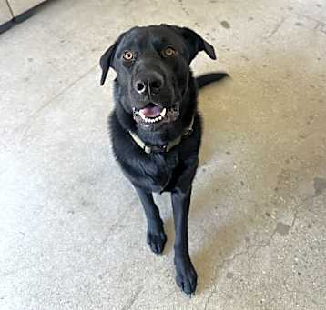 Photo of Jack