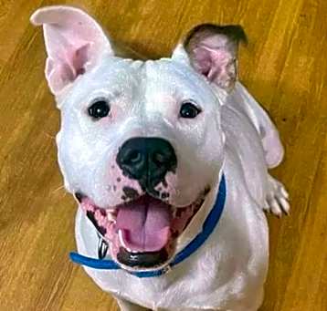 Photo of Happy