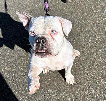 Photo of FIZZIE