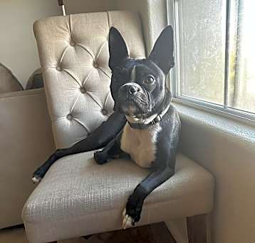 Photo of Mac