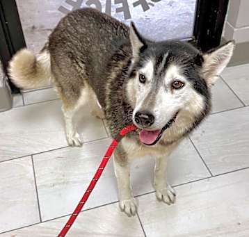 Photo of Sasha