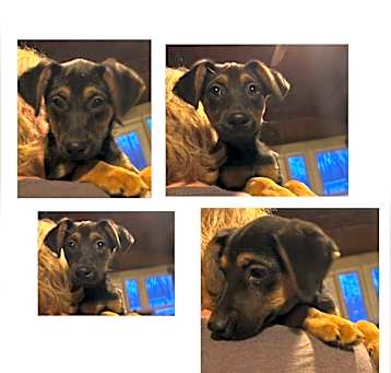 Photo of Winnie