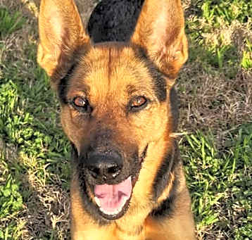 Photo of Princess