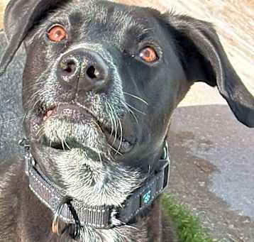 Photo of Duke
