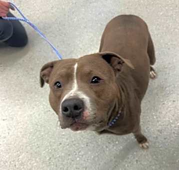 Photo of Wiggles