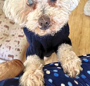 Photo of Betty