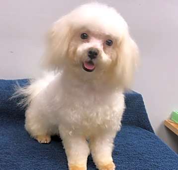 Photo of Simon