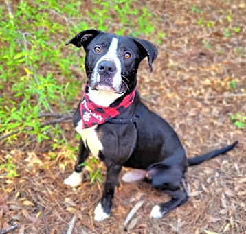 Photo of Duke