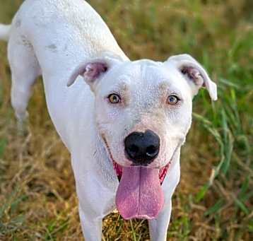 Photo of Axel