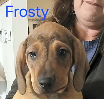 Photo of Snowy