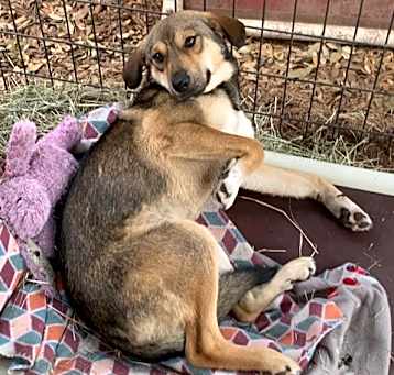Photo of Winnie
