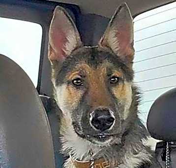 Photo of Cinch