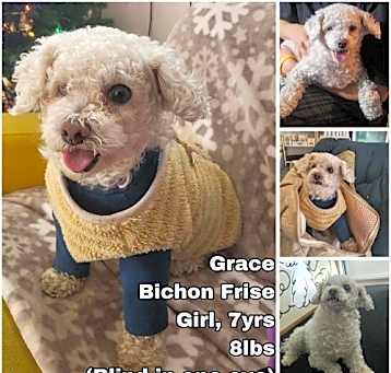 Photo of Grace from Korea