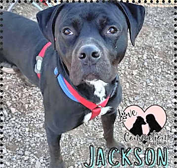 Photo of Jackson