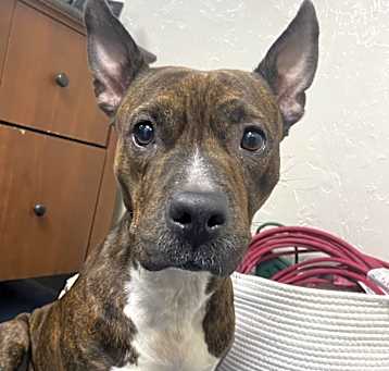 Photo of Lola