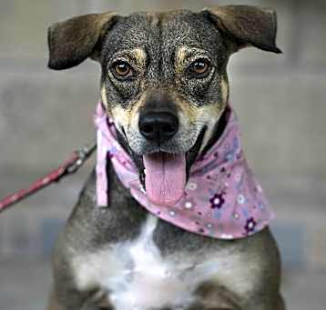 Photo of Lola
