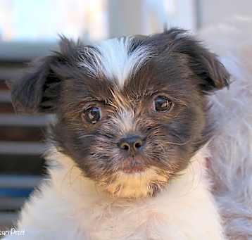 Photo of Lindy