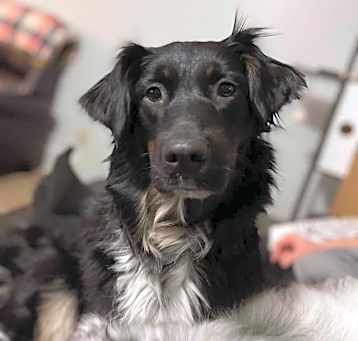 Photo of Matilda