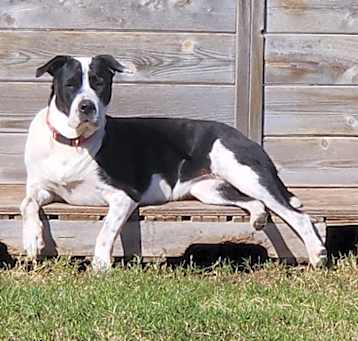 Photo of MYSTIC