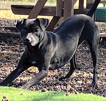 Photo of Missy