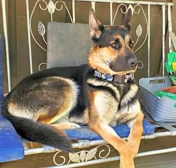 Photo of Apollo