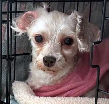 Photo of Mille