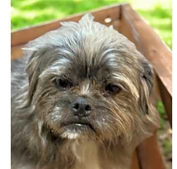 Photo of Rosie (bonded with Red)