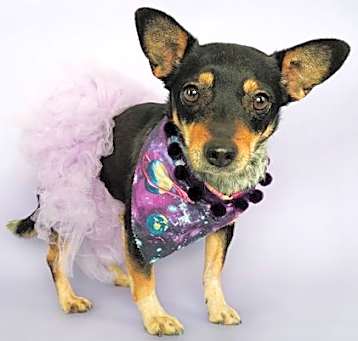 Photo of Mindy